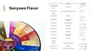 Penjelasan Teka‑Teki Makanan, Air Tipe Daya, Permen Warna, UFO