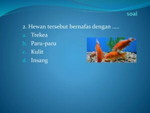 Bahasa Inggris untuk hewan bertulang belakang