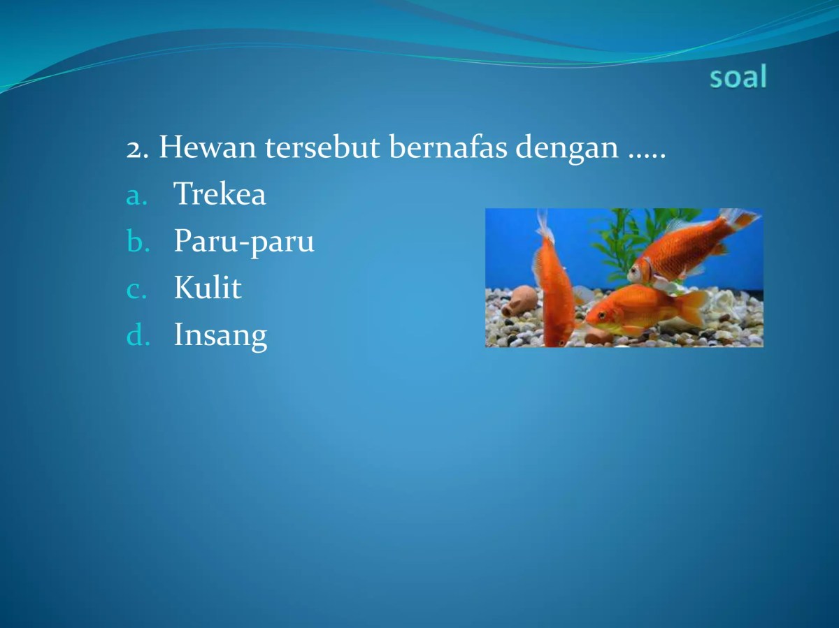 Bahasa Inggris untuk hewan bertulang belakang