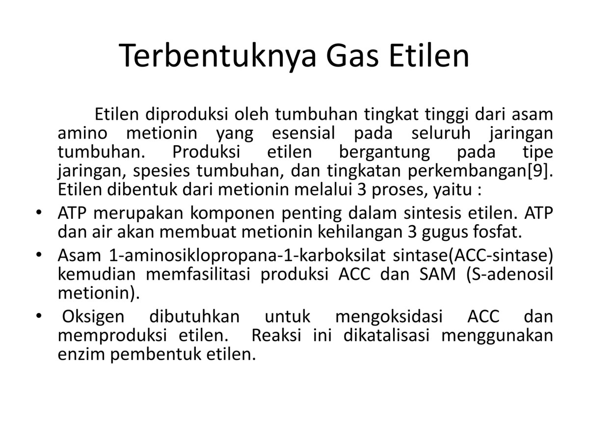 Hormon Pengatur Penyembuhan Batang pada Tanaman
