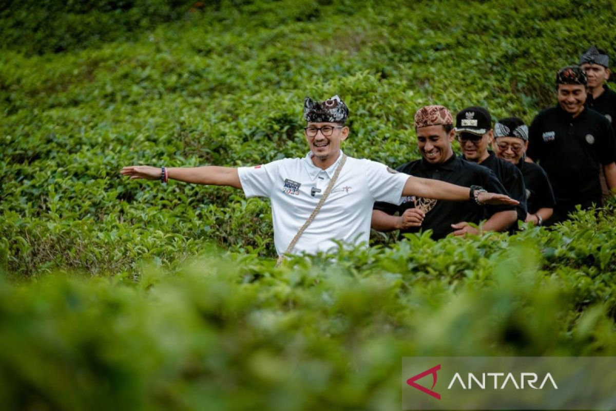 Sejarah tentang taraju