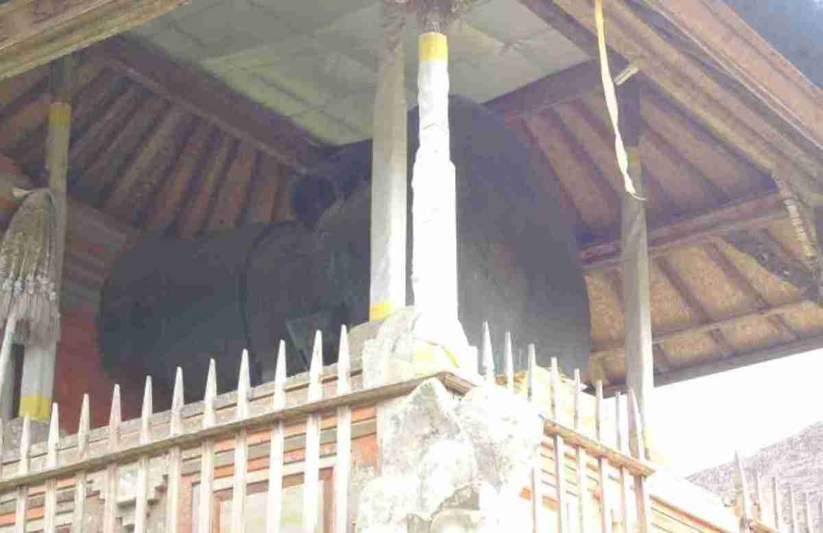 Nekara Ditemukan di Pulau Bali dan Pulau Roti