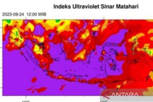 Paparan sinar UV tinggi pada sel dapat mengakibatkan mutasi