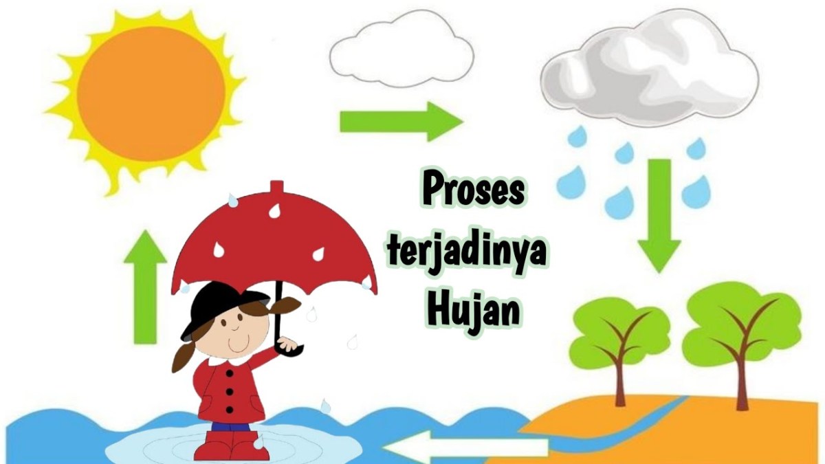Proses Terjadinya Hujan Asam