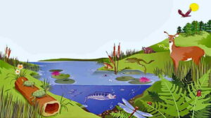 Hubungan Makhluk Hidup dengan Ekosistem serta Variasi Habitat