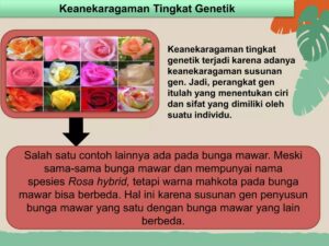 Sifat yang menggambarkan keanekaragaman