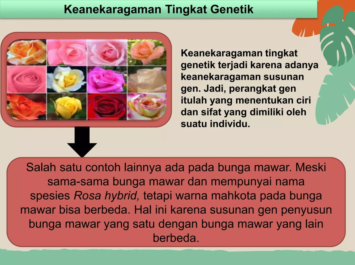 Sifat yang menggambarkan keanekaragaman