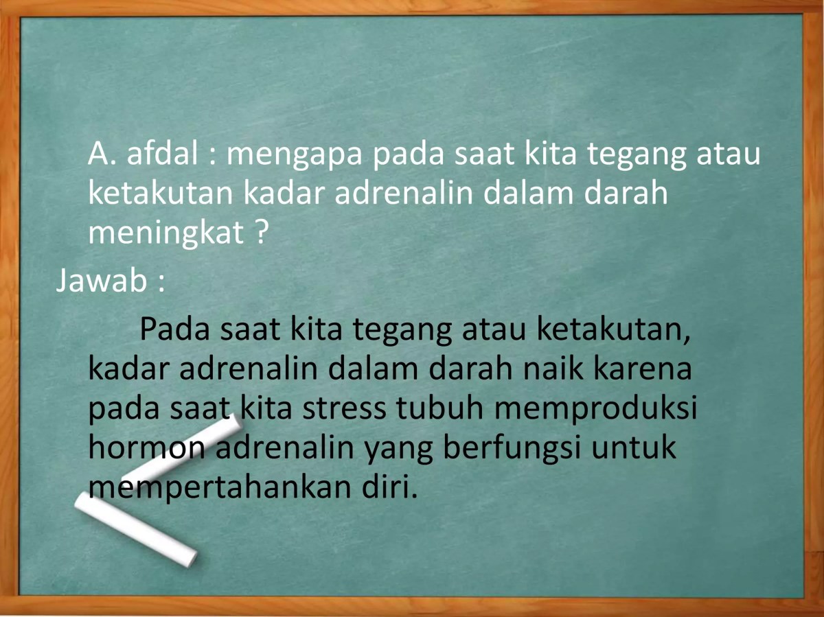 Hormon yang Meningkat Saat Dzikir: Adrenalin, Endorfin, Serotonin