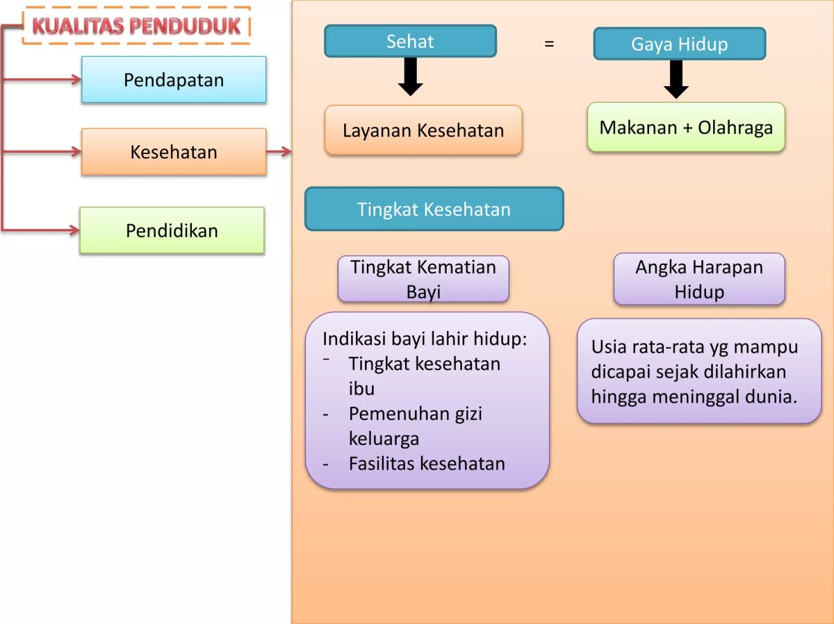 Perbedaan Kualitas dan Kuantitas Belajar