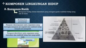 Fungsi Komponen Fisik Lingkungan Hidup