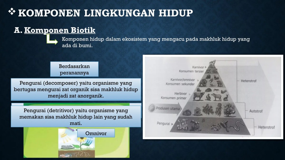 Fungsi Komponen Fisik Lingkungan Hidup