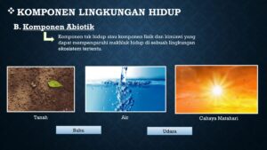 Fungsi Komponen Fisik dalam Lingkungan Hidup