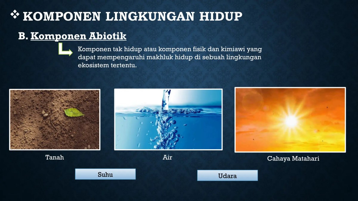 Fungsi Komponen Fisik dalam Lingkungan Hidup