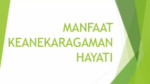 Manfaat dan Tujuan Mempelajari Keanekaragaman Hayati dalam Biologi
