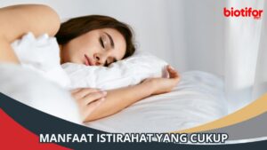 Alasan Makhluk Membutuhkan Istirahat