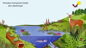 Interaksi Makhluk Hidup dan Komponen Abiotik dalam Lingkungan