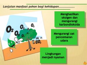 Menghitung Cara Penanaman 4 Jenis Pohon oleh 5 Relawan di 3 Lahan