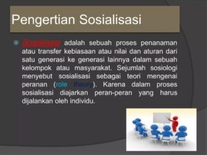 Media-media Sosialisasi