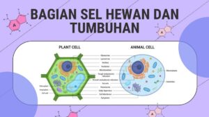 Pilihan Kata yang Tepat untuk Definisi Sel dalam Biologi