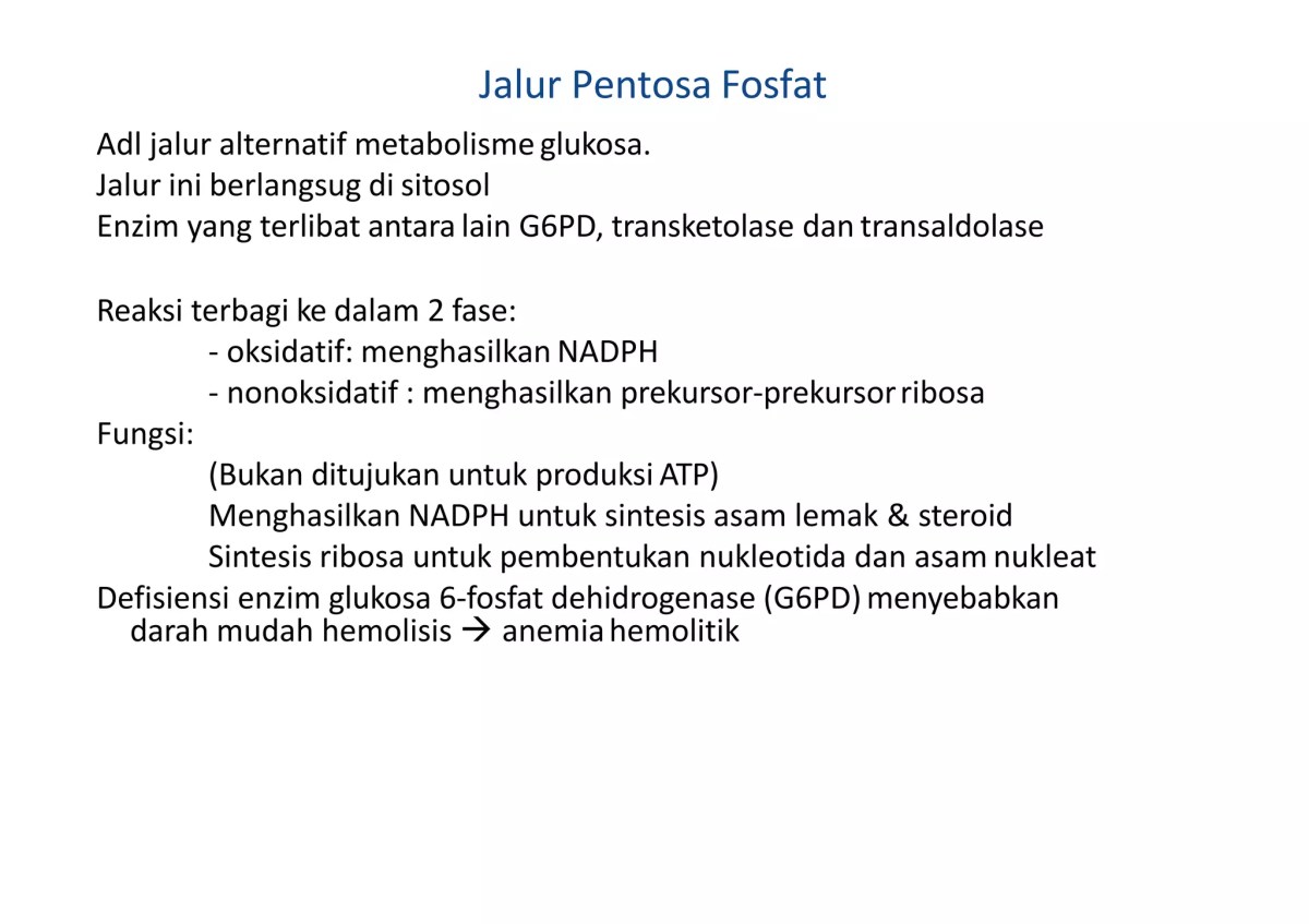 Berapa Molekul PGAL untuk Membentuk Ribulosa Bisfosfat