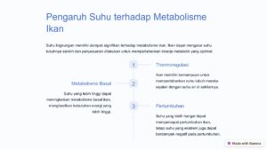 Pengaruh Suhu Terhadap Kemampuan Bernapas Ikan