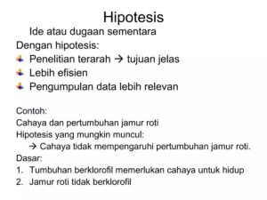 Arti istilah logika hipotetika verifikatif dalam metode ilmiah beserta contoh