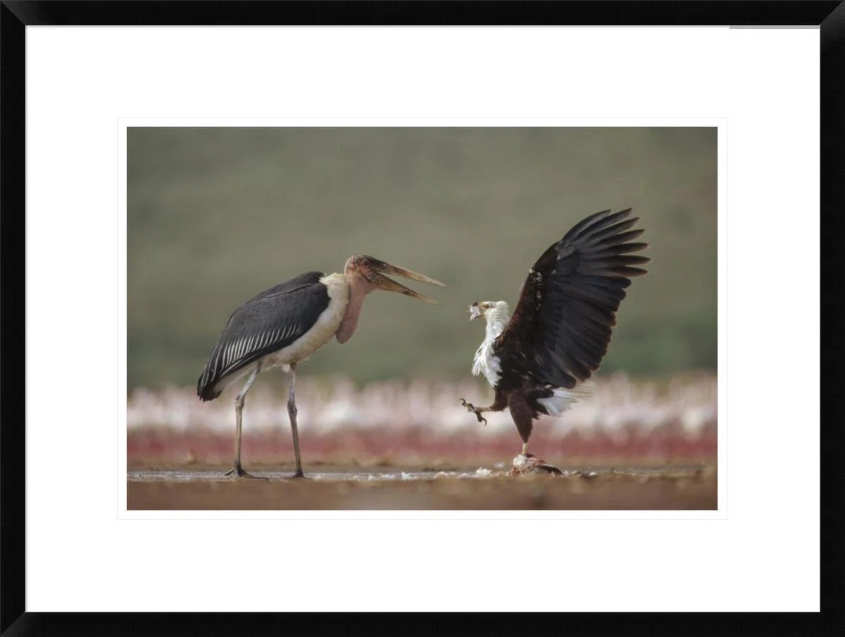 Terjemahan Bahasa Inggris: Binatang Paling Menjijikkan Adalah Cacing