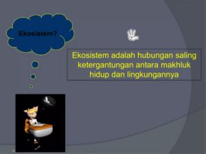 Pengaruh Lingkungan Hidup terhadap Sifat, Karakter, dan Perilaku Manusia