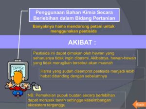 Pengaruh Lingkungan Hidup Terhadap Sifat, Karakter, dan Perilaku Manusia