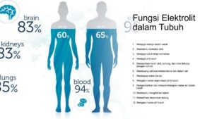 Zat yang menjadi elektrolit saat dilarutkan dalam air
