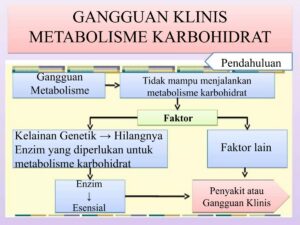 Nama Lain Gangguan Protein dengan Kekurangan Karbohidrat