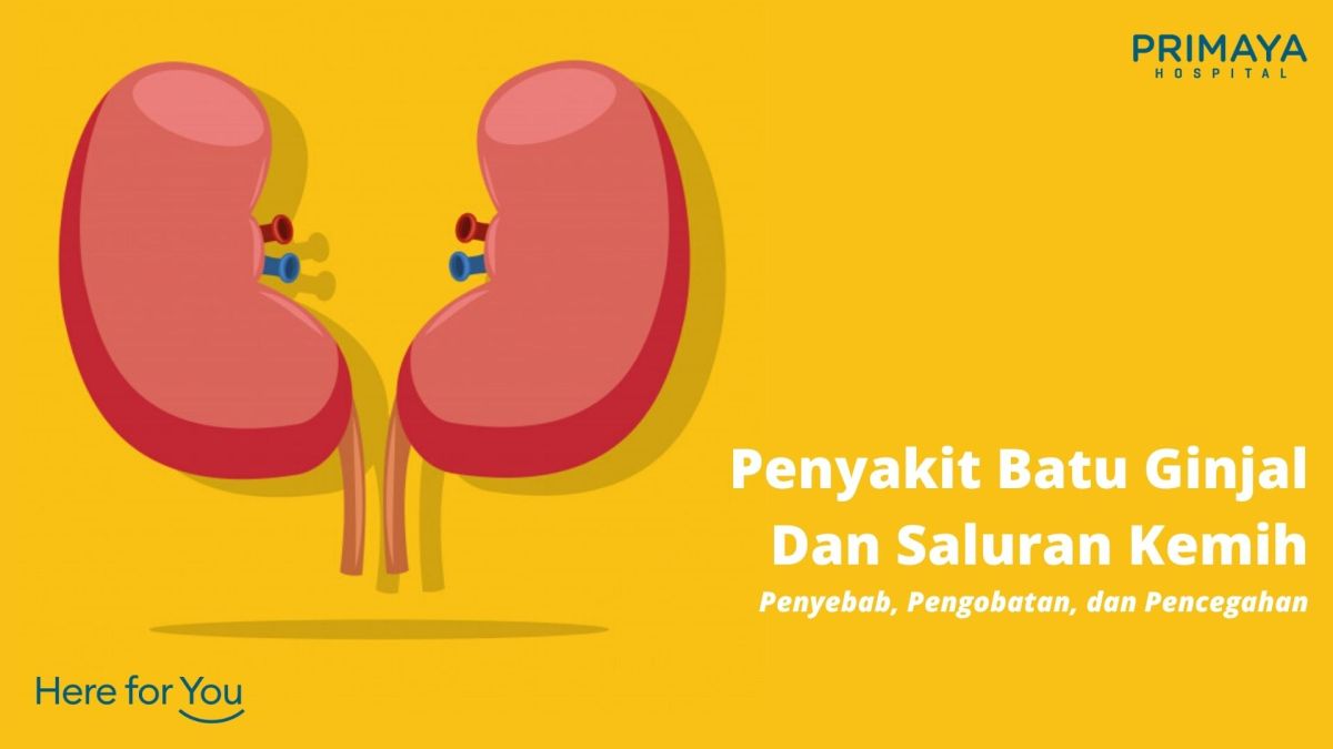 Sakit Akibat Batu Ginjal pada Lokasi Tertentu
