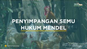 Rasio Fenotip 12:3:1 pada F2 Menunjukkan Penyimpangan Hukum Mendel