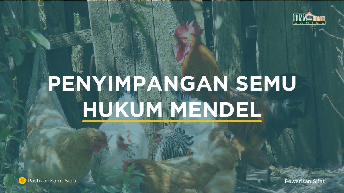 Rasio Fenotip 12:3:1 pada F2 Menunjukkan Penyimpangan Hukum Mendel