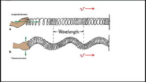 Makna 3λ pada Gelombang Transversal dan 2λ pada Gelombang Longitudinal