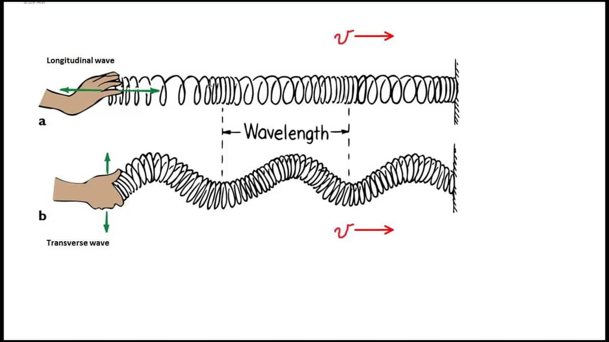 Makna 3λ pada Gelombang Transversal dan 2λ pada Gelombang Longitudinal