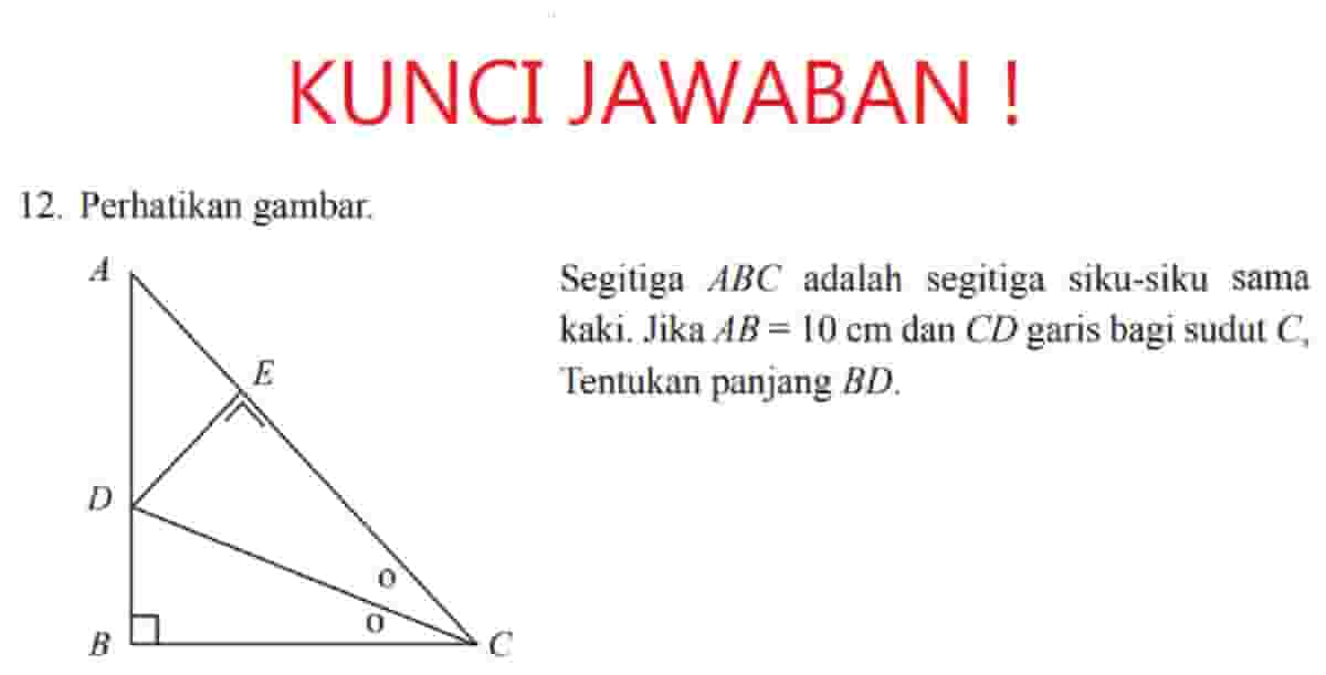 Hitung CD pada Segitiga Siku‑siku ABC dengan DB = 16