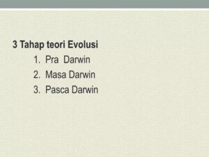 Tahapan Evolusi Manusia Kedua Menurut Teori Evolusi