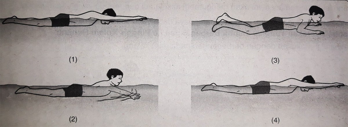 Tahapan Berlatih Renang Gaya Dada