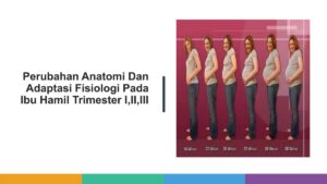 Hal yang Bukan Adaptasi Fisiologi