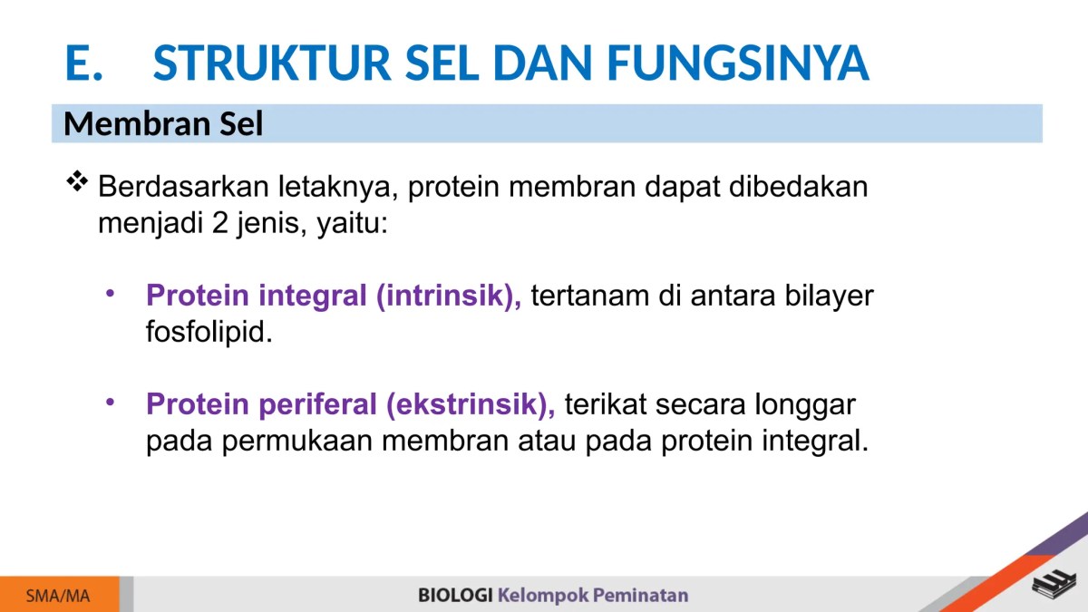 Molekul Tertanam di Lipid Bilayer: Penjelasan