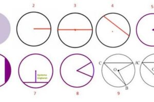 Hitung luas rumput setengah taman lingkaran diameter 42 m