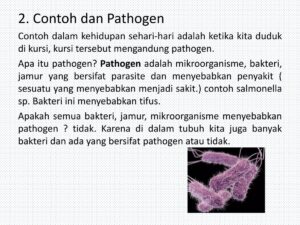 Mikroorganisme Penyebab Penyakit dalam Tubuh