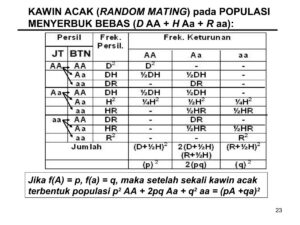 Rumus Menghitung Populasi Tanaman