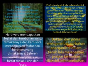 Bahan Alami yang Mengandung Pospat