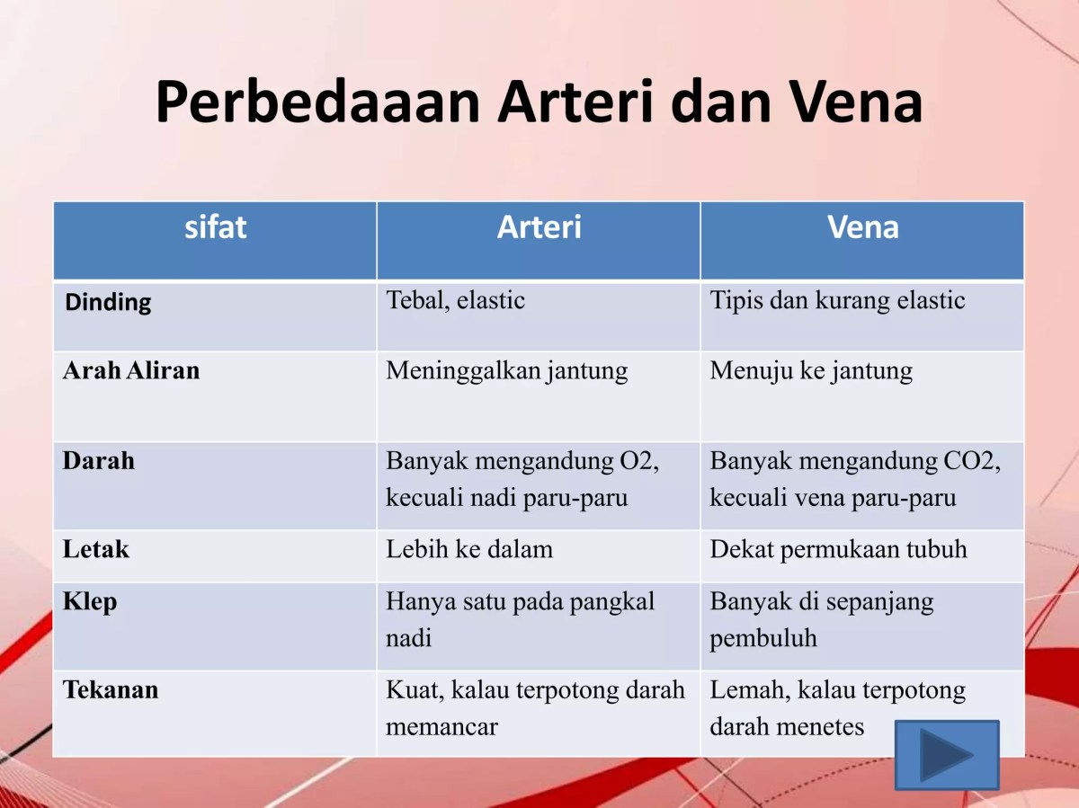 Sifat Pembuluh Nadi (Arteri)
