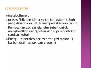 Jelaskan Bagaimana Proses Terbentuknya Energi pada Tubuh Kita