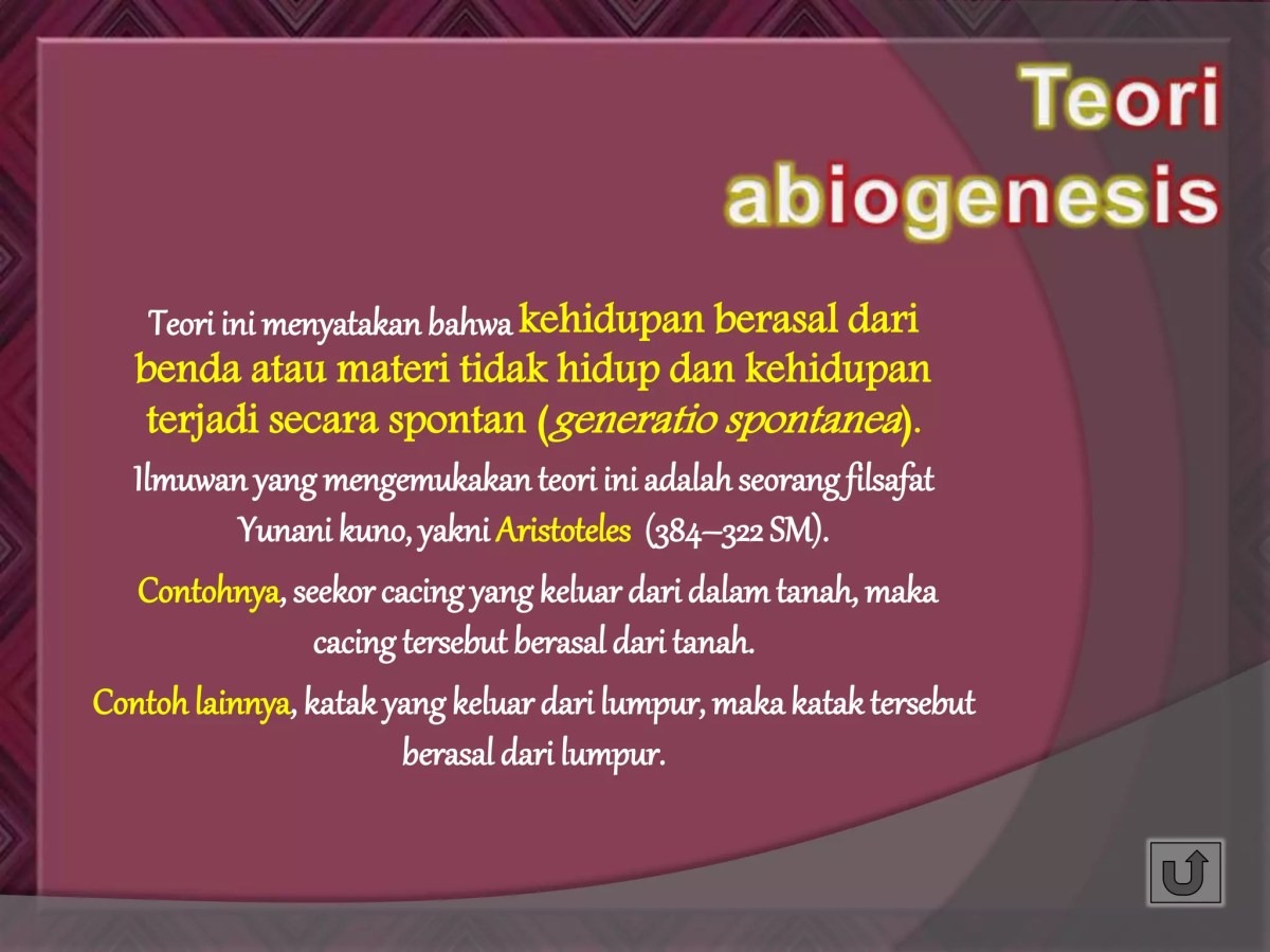 Manusia Terbentuk dari Sejarah, Agama, dan Biologi