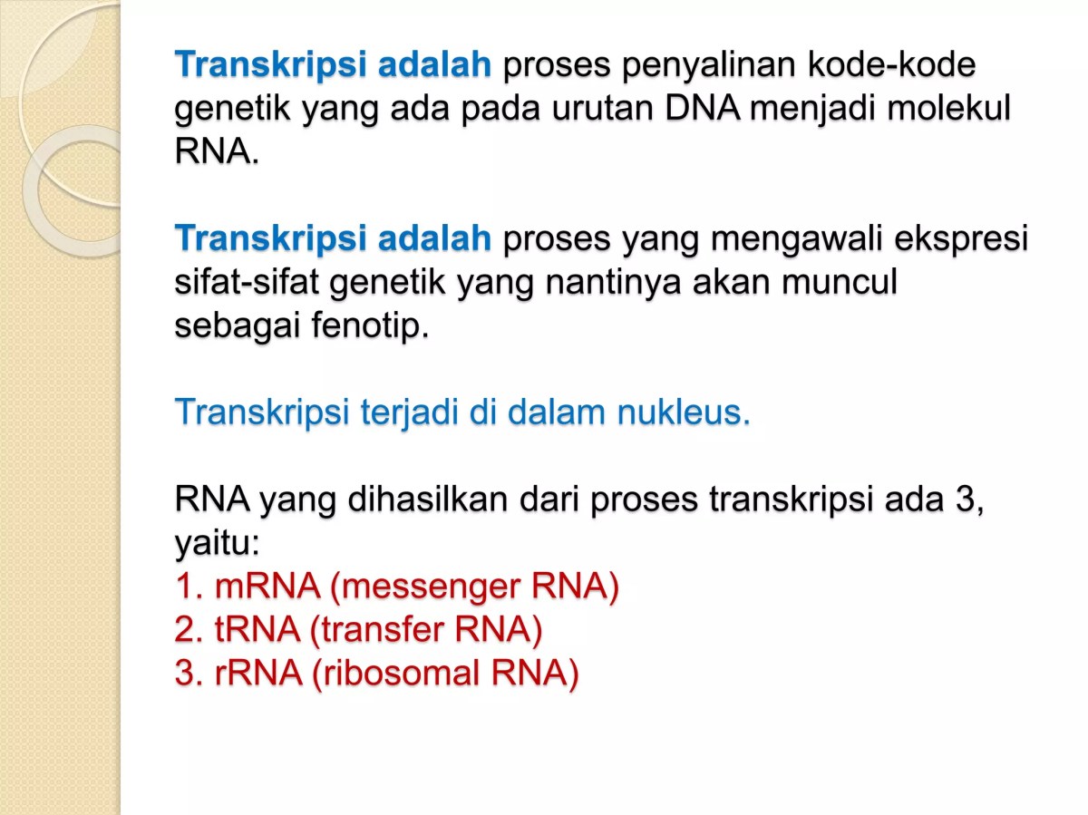 Transkripsi DNA 5’GCCATCAAGC3’ menjadi urutan RNA
