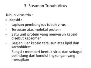 Ciri Hidup yang Dimiliki Virus